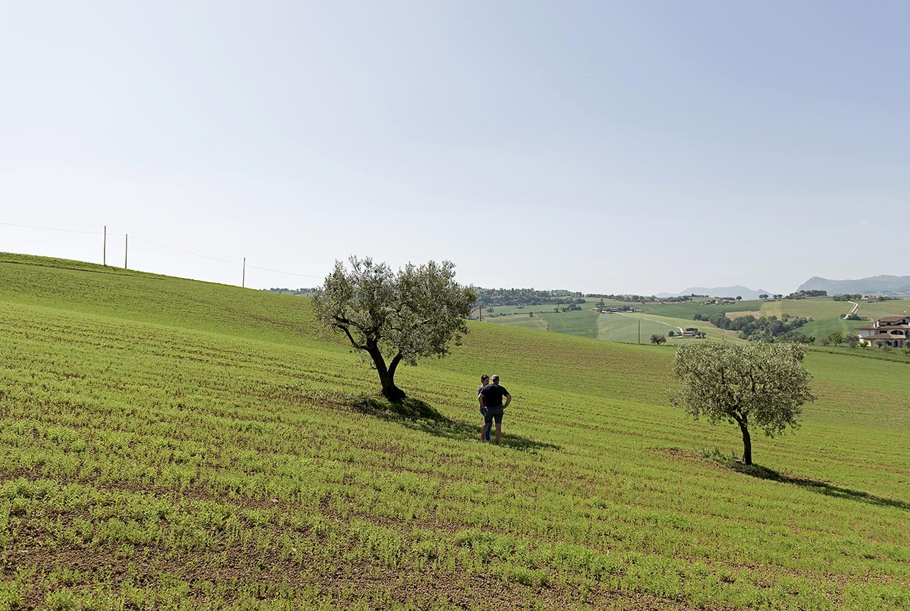Daniele Pavesi per La terra e il cielo