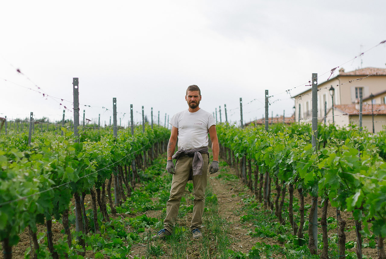 Francesco Ciranna per Consorzio vini di Romagna