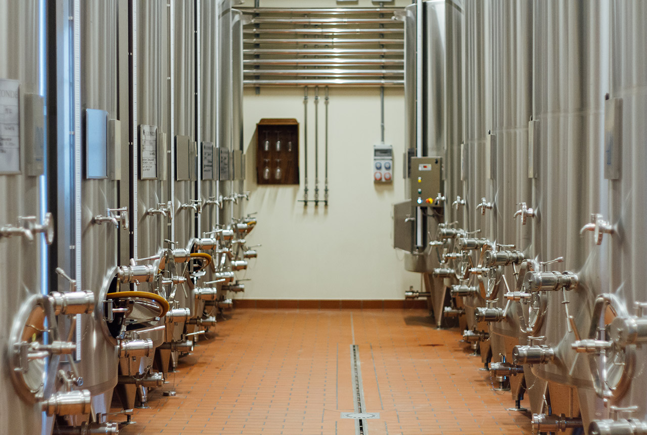 Francesco Ciranna per Consorzio vini di Romagna